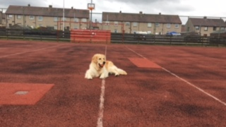 Marley New Struan School 250618