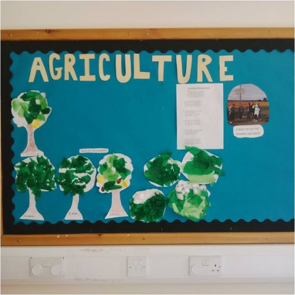 New Struan School Assembly