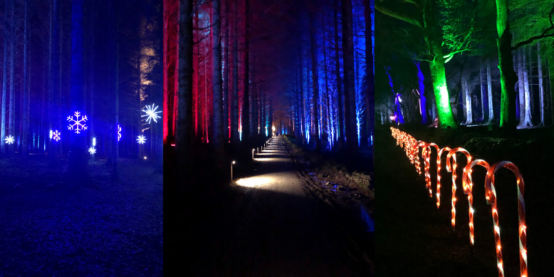 Beecraigs Festive Forest