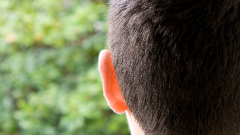 Image is of the back of a person's head and ear