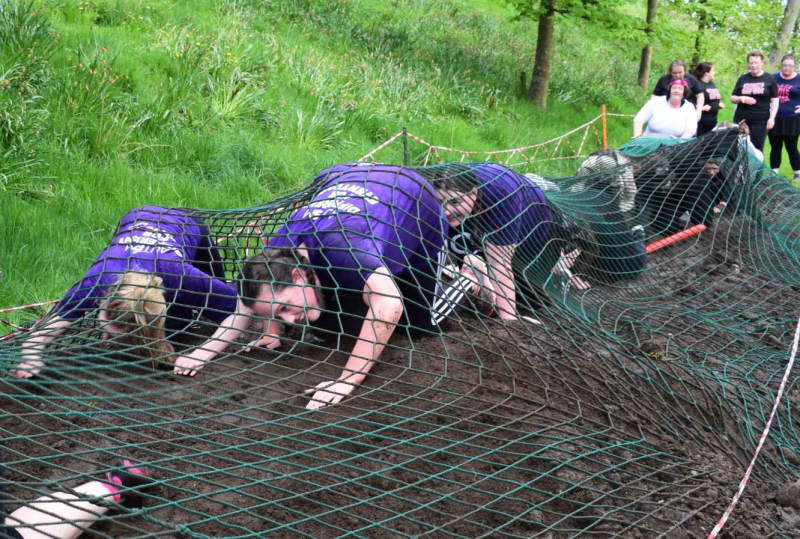 Obstacle tiger adventure